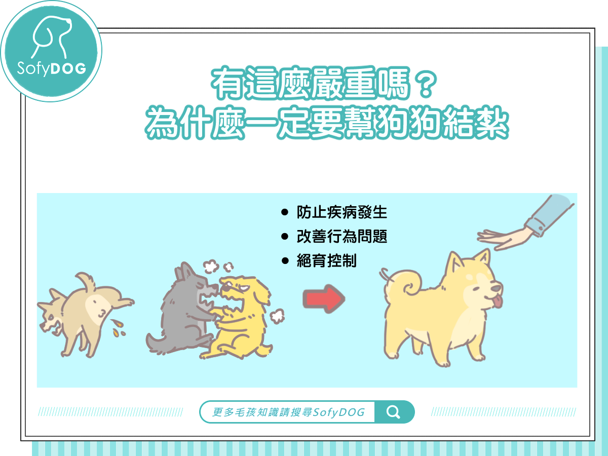 有這麼嚴重嗎？為什麼一定要幫狗狗結紮