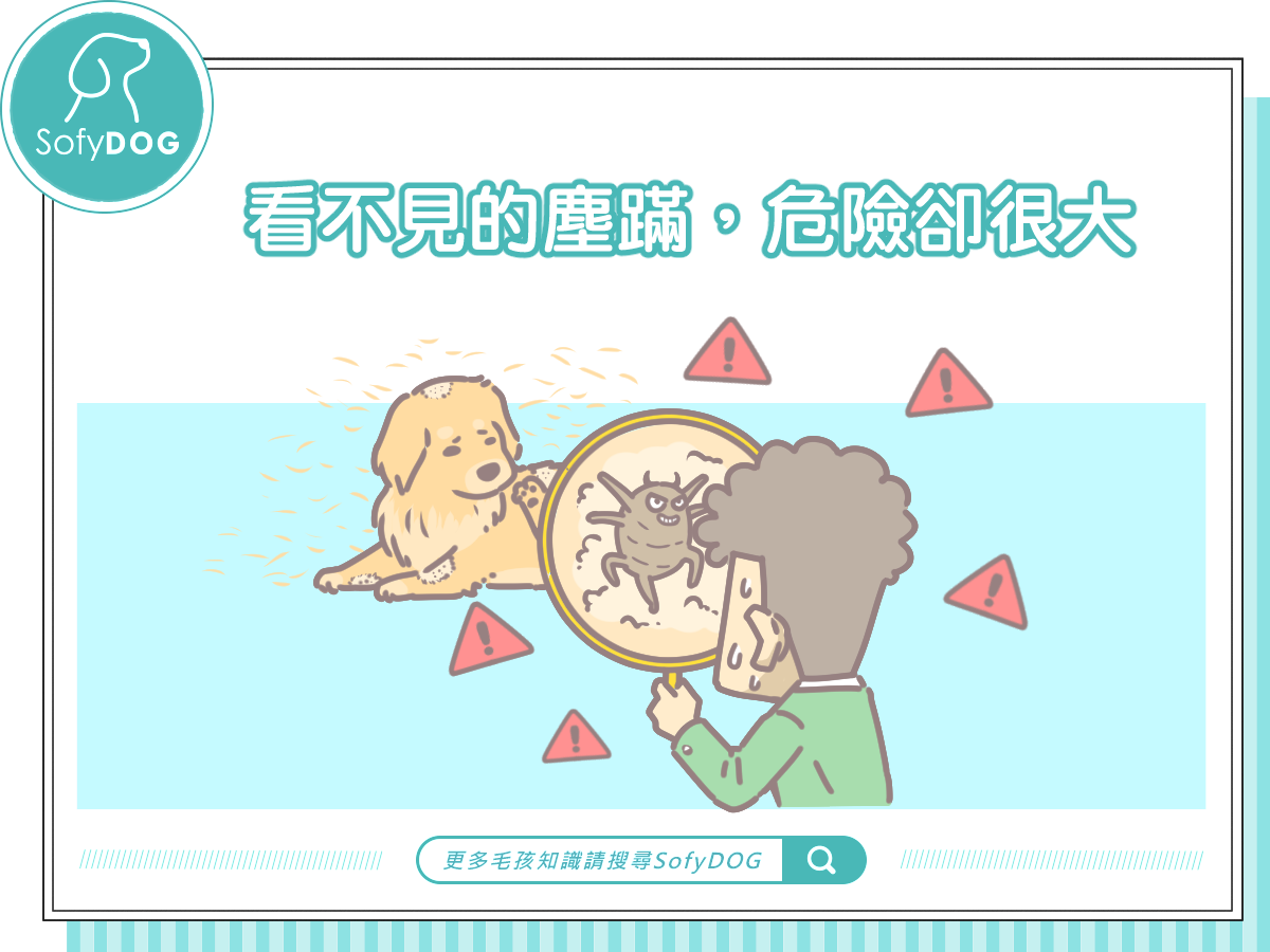 看不見的塵蟎，危險卻很大