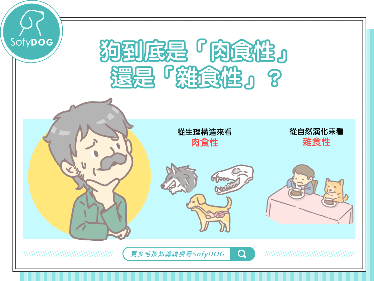 狗到底是「肉食性」還是「雜食性」？
