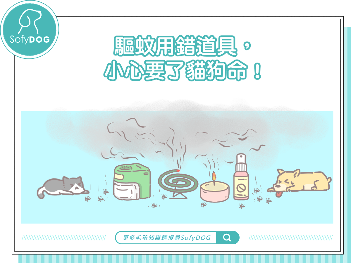 驅蚊用錯道具，小心要了貓狗命！