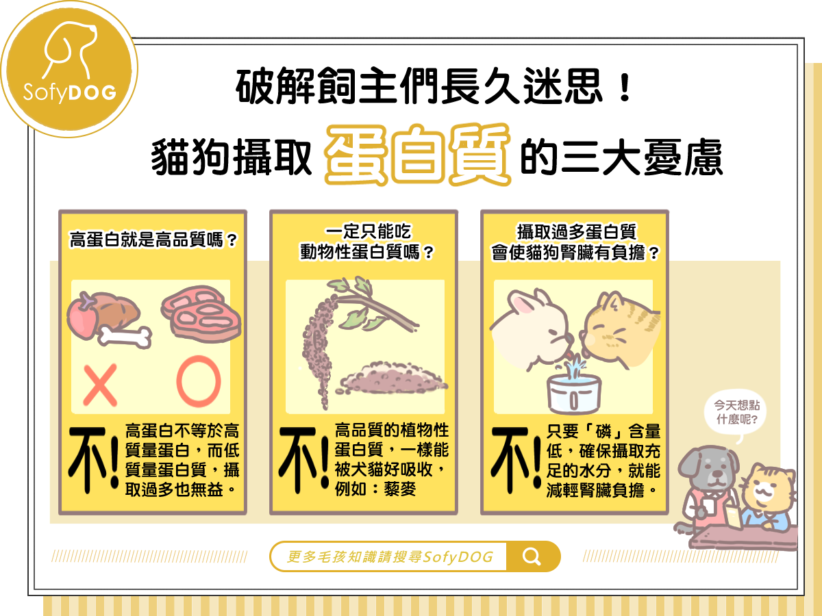 破解飼主們長久迷思！貓狗攝取蛋白質的三大憂慮