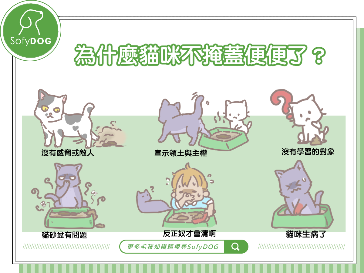 為什麼貓咪不掩蓋便便了？