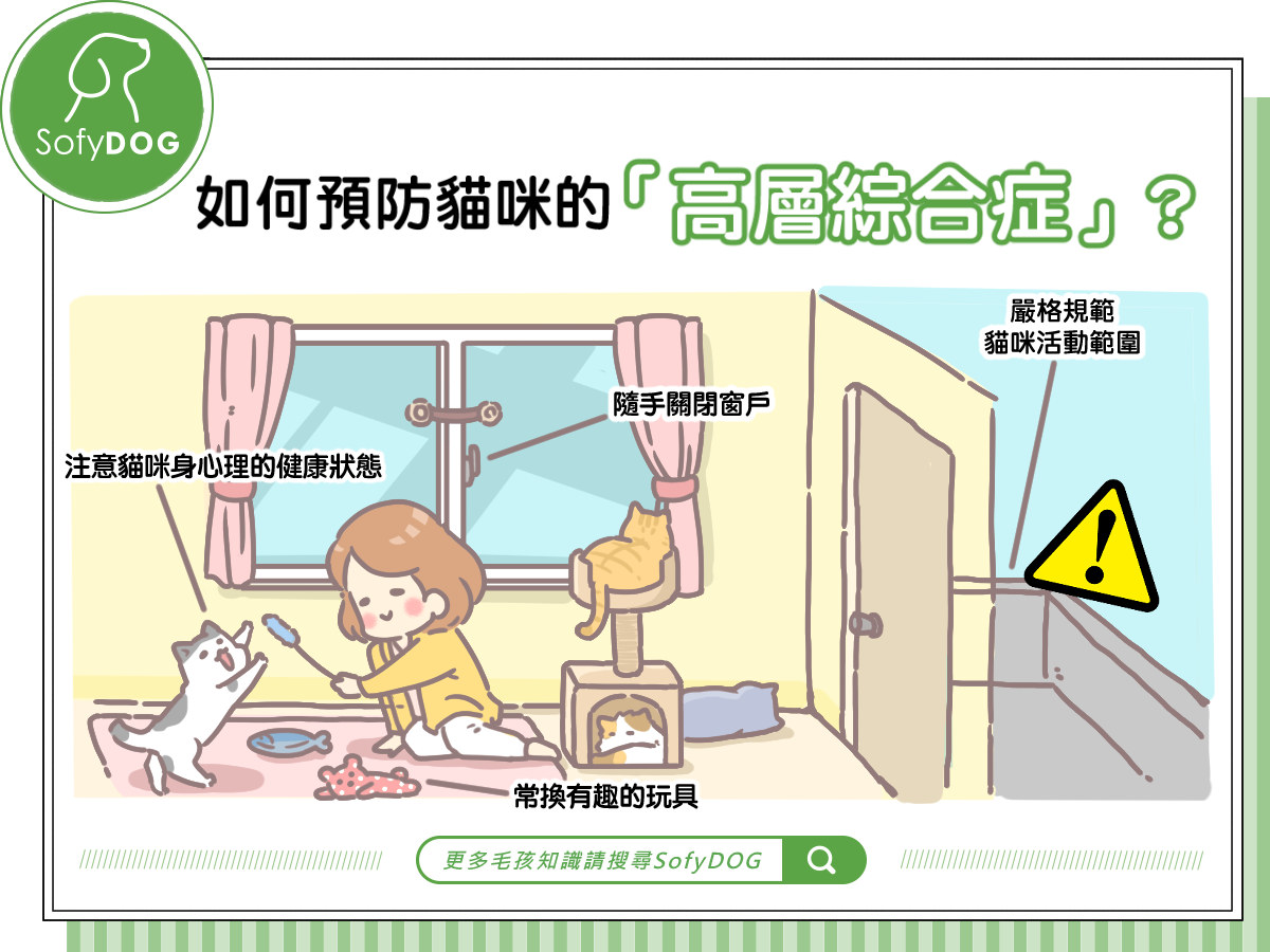 如何預防貓咪的「高層綜合症」？