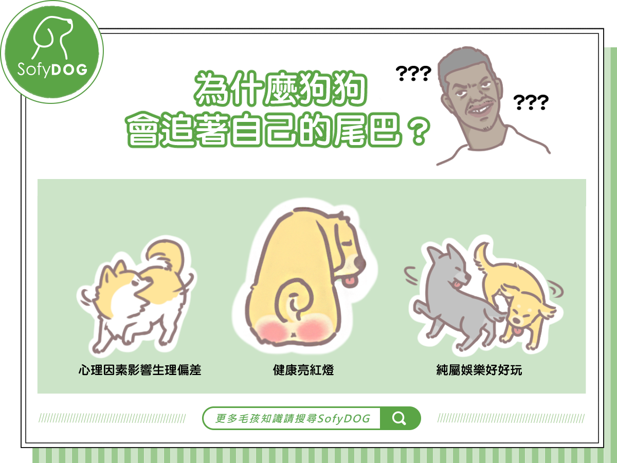 為什麼狗狗會追著自己的尾巴？