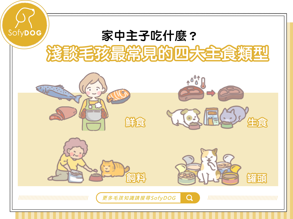 家中主子吃什麼？淺談毛孩最常見的四大主食類型
