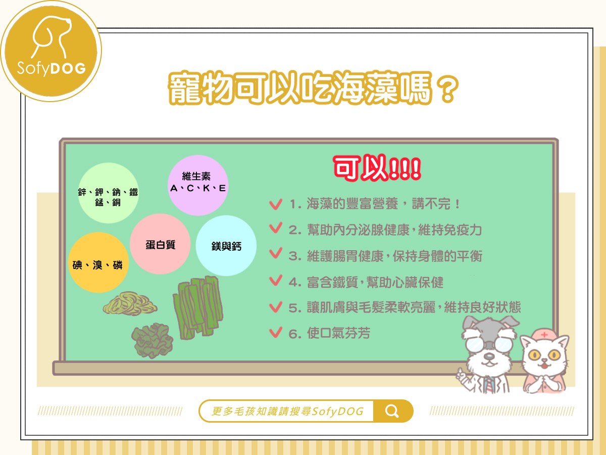寵物可以吃海藻嗎？