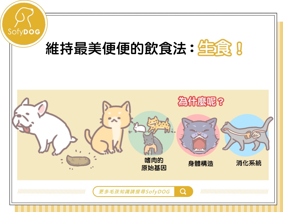維持最美便便的飲食法：生食！