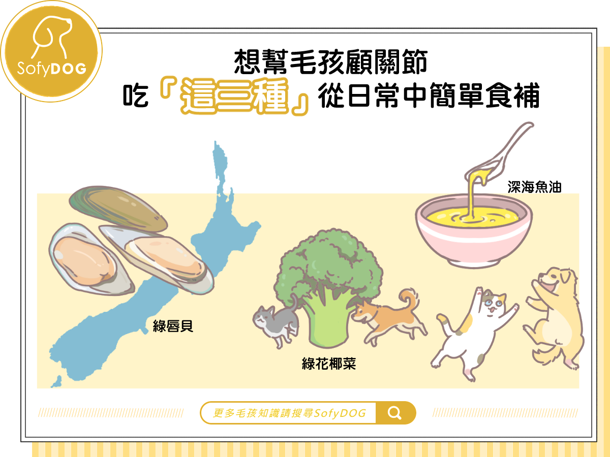 2025狗關節保養品推薦：挑選4大關鍵要點，日常飲食也不可忽略！