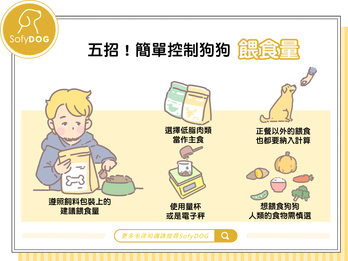 五招！簡單控制狗狗餵食量