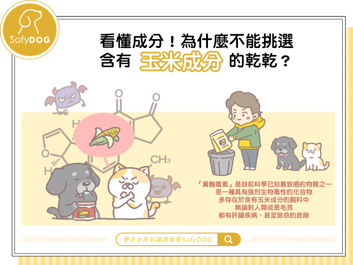 看懂成分！為什麼不能挑選含有玉米成分的乾乾？