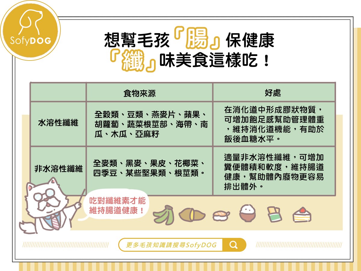 想幫毛孩「腸」保健康，「纖」味美食這樣吃！