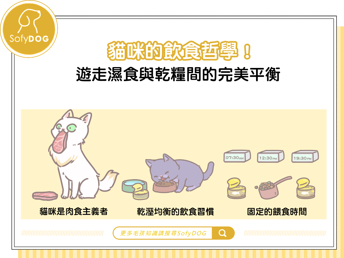 貓咪的飲食哲學！遊走濕食與乾糧間的完美平衡