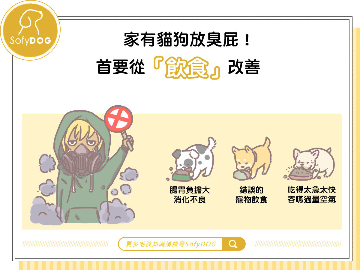 家有貓狗放臭屁！首要從「飲食法」改善