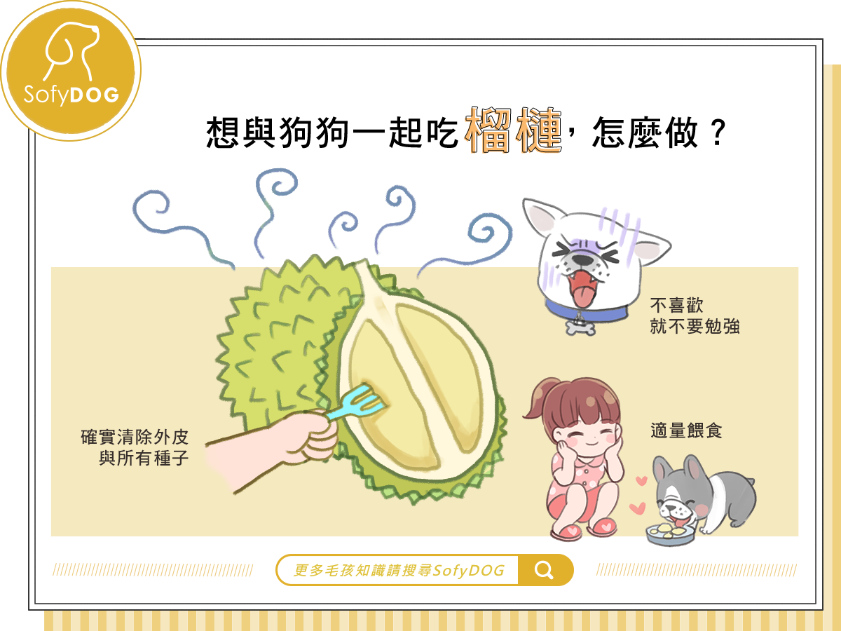 想與狗狗一起吃榴槤，怎麼做？