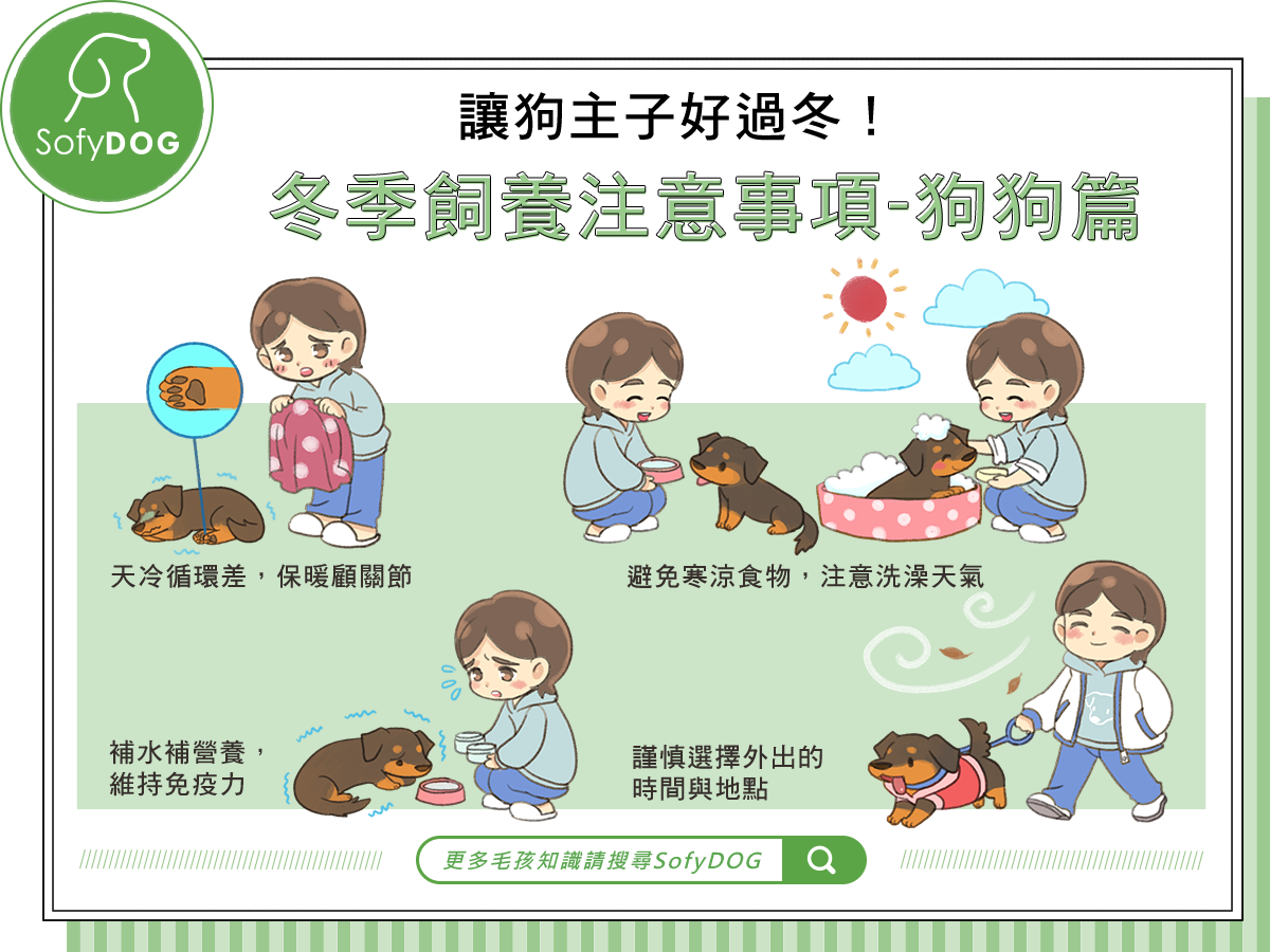 千萬不要被冷到！冬季飼養注意事項-狗狗篇