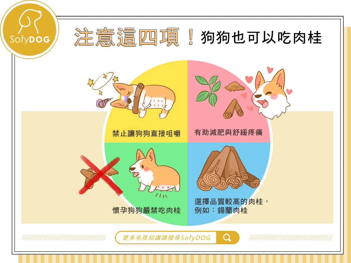 注意這四項！狗狗也可以吃肉桂