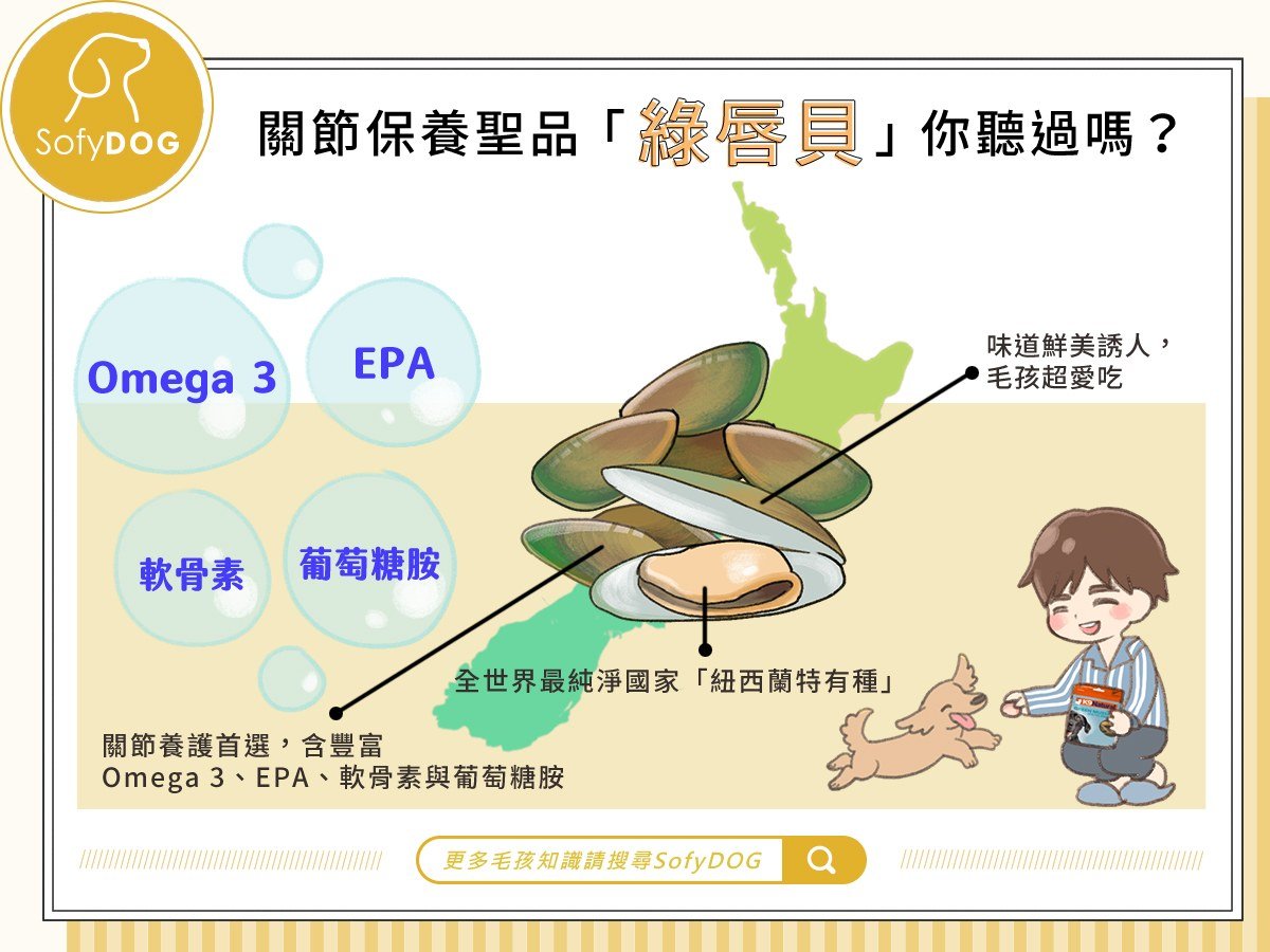 關節保養聖品 「綠唇貝」你聽過嗎？