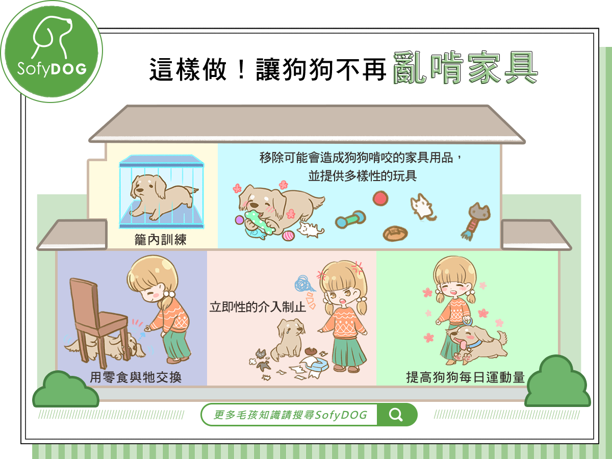 這樣做！讓狗狗不再亂啃家具
