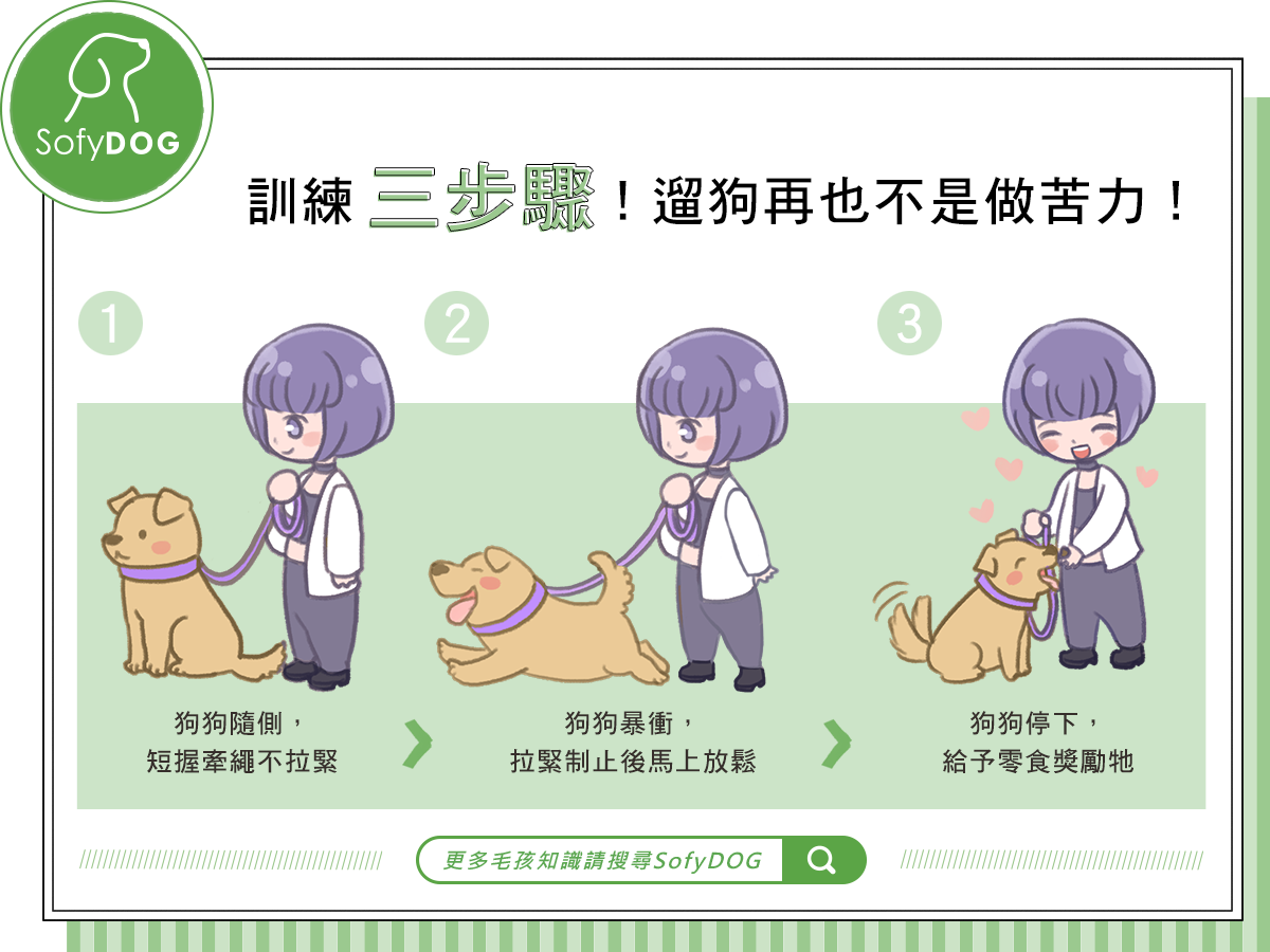 訓練三步驟！遛狗再也不是做苦力！