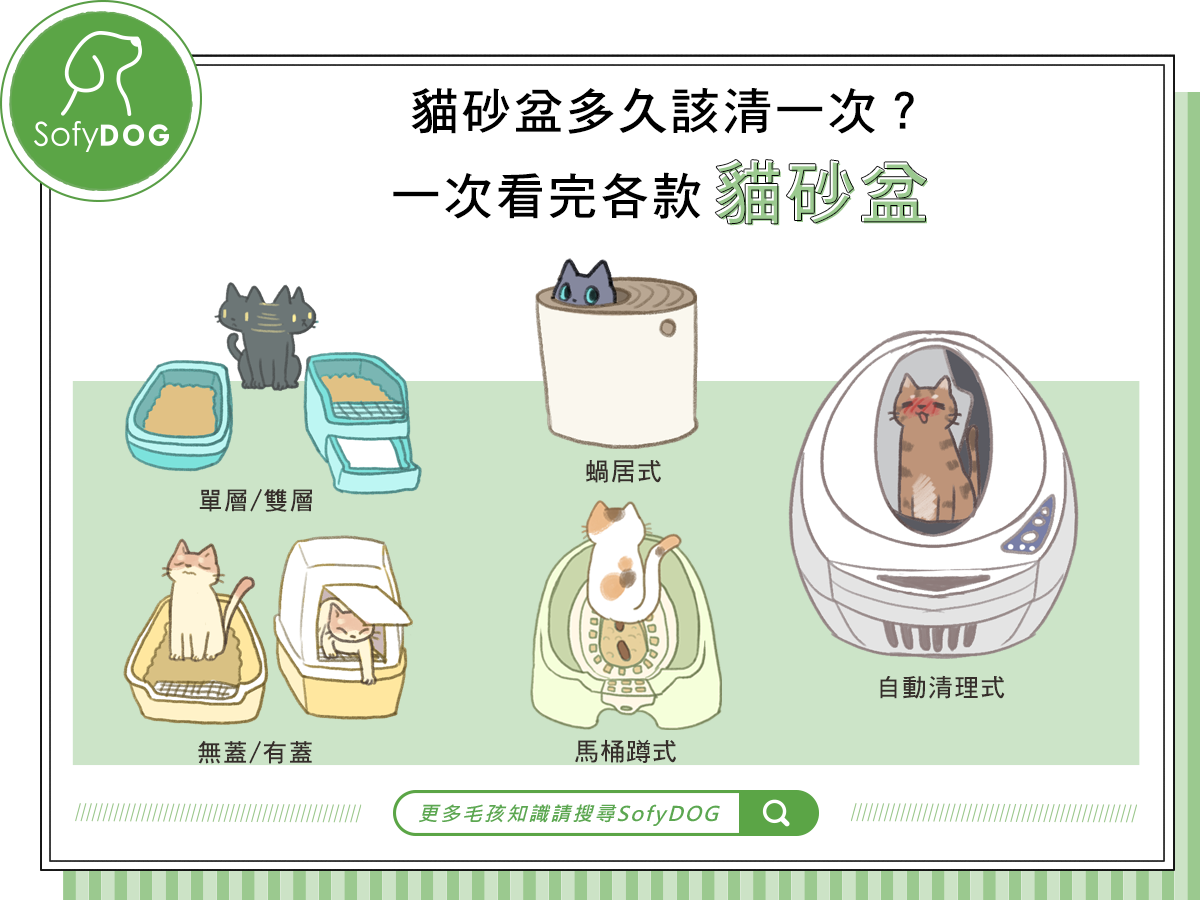 貓砂盆多久該清一次？一次看完各款貓砂盆
