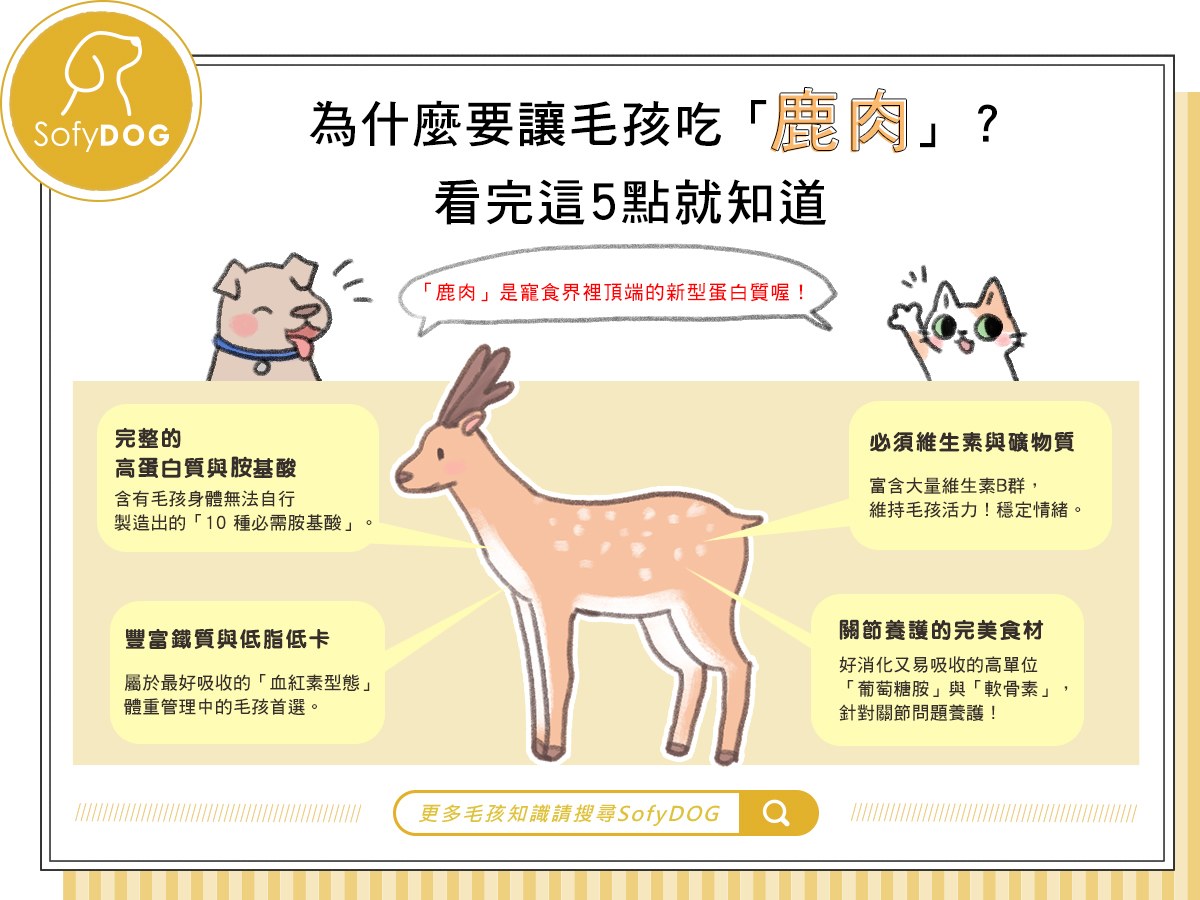 為什麼要讓毛孩吃「鹿肉」？ 看完這5點就知道