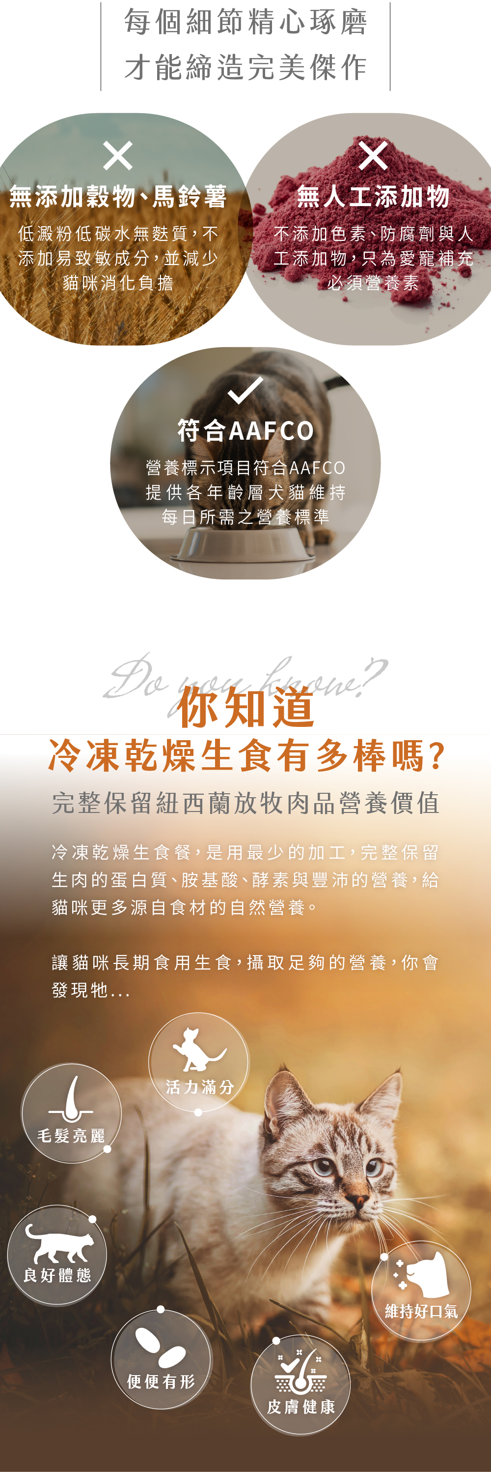 Hyperr凍乾_貓咪_商品說明頁MB_03 Hyperr凍乾_貓咪_商品說明頁MB_03