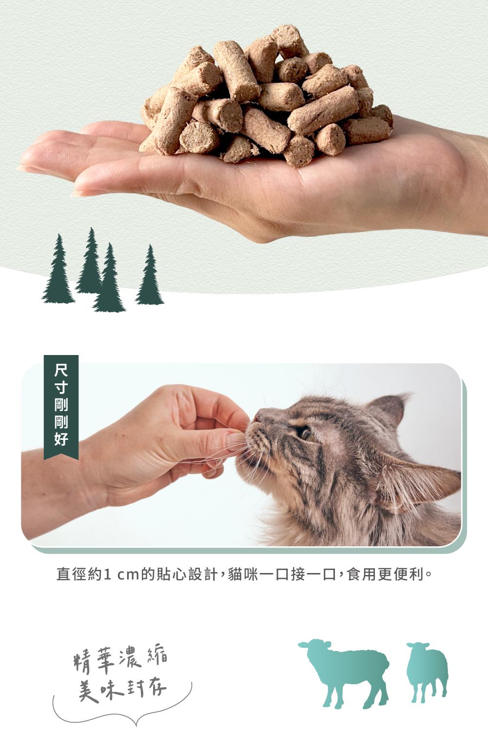 凍乾尺寸剛剛好，直徑1公分的設計，食用更便利。