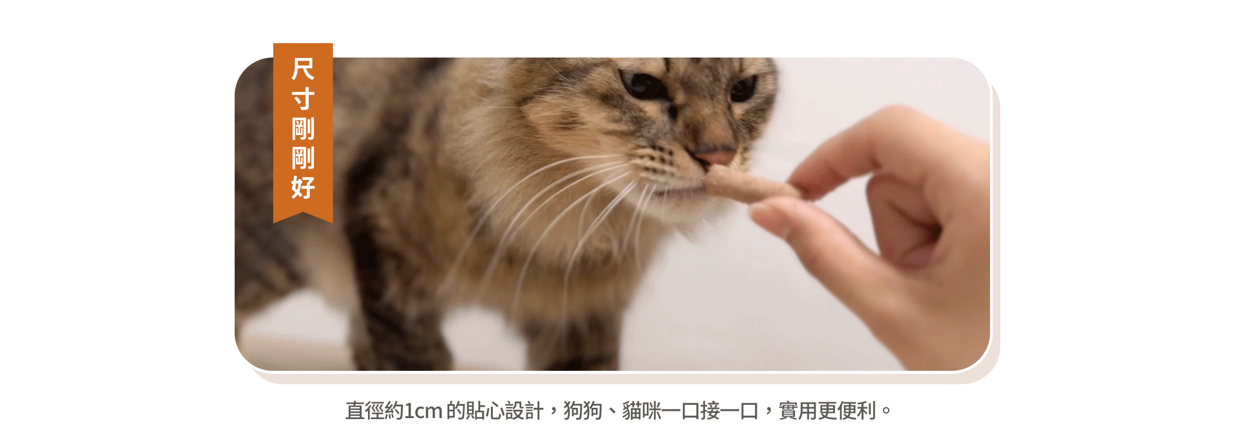 顆粒小巧，犬貓都方便食用，尺寸剛剛好