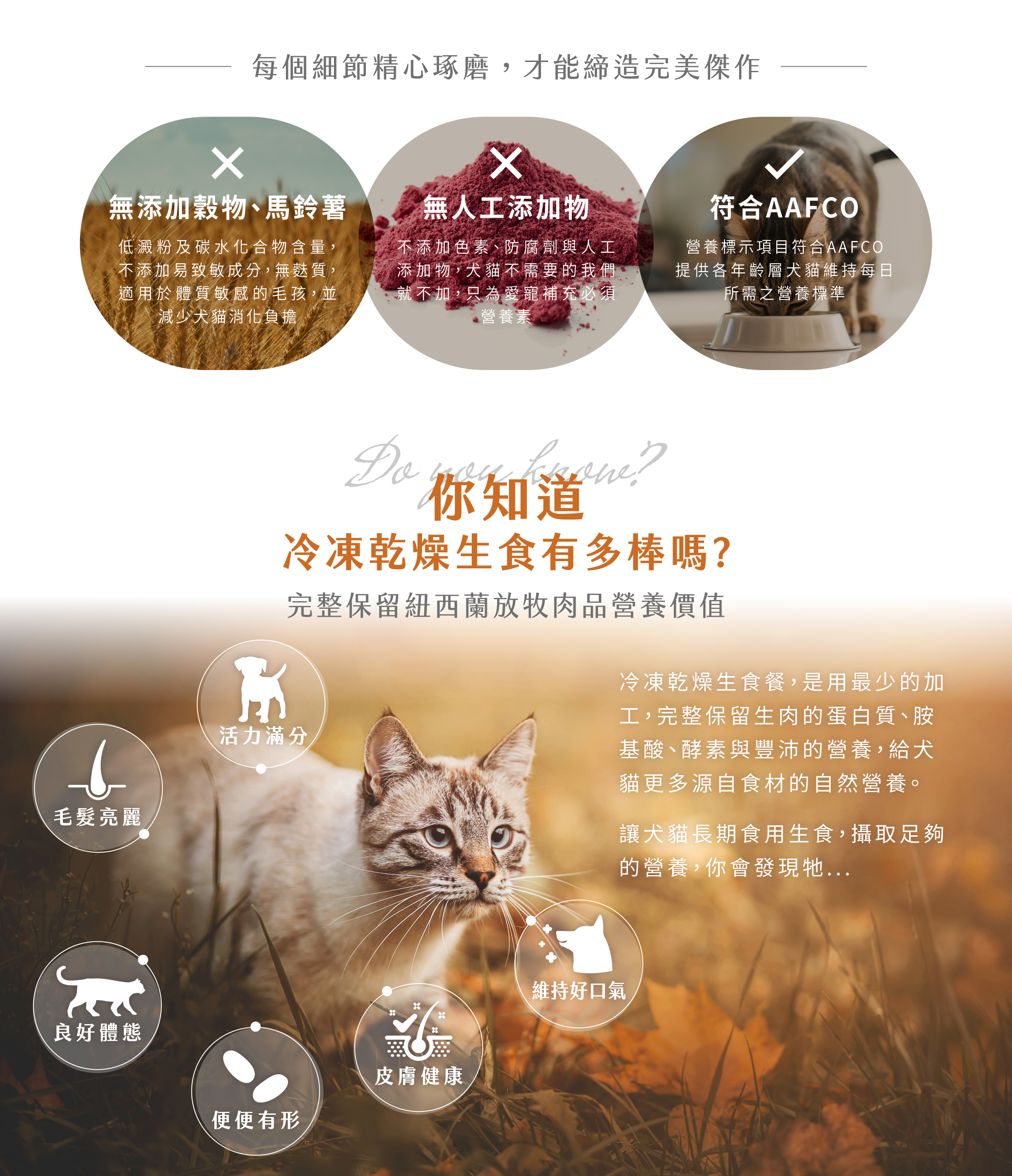 生食餐是以最少的加工，給犬貓更多源自食材的自然營養，凍乾性質餵食方便，開袋美味即可上桌，輕巧好攜帶，外出餵食也方便。
