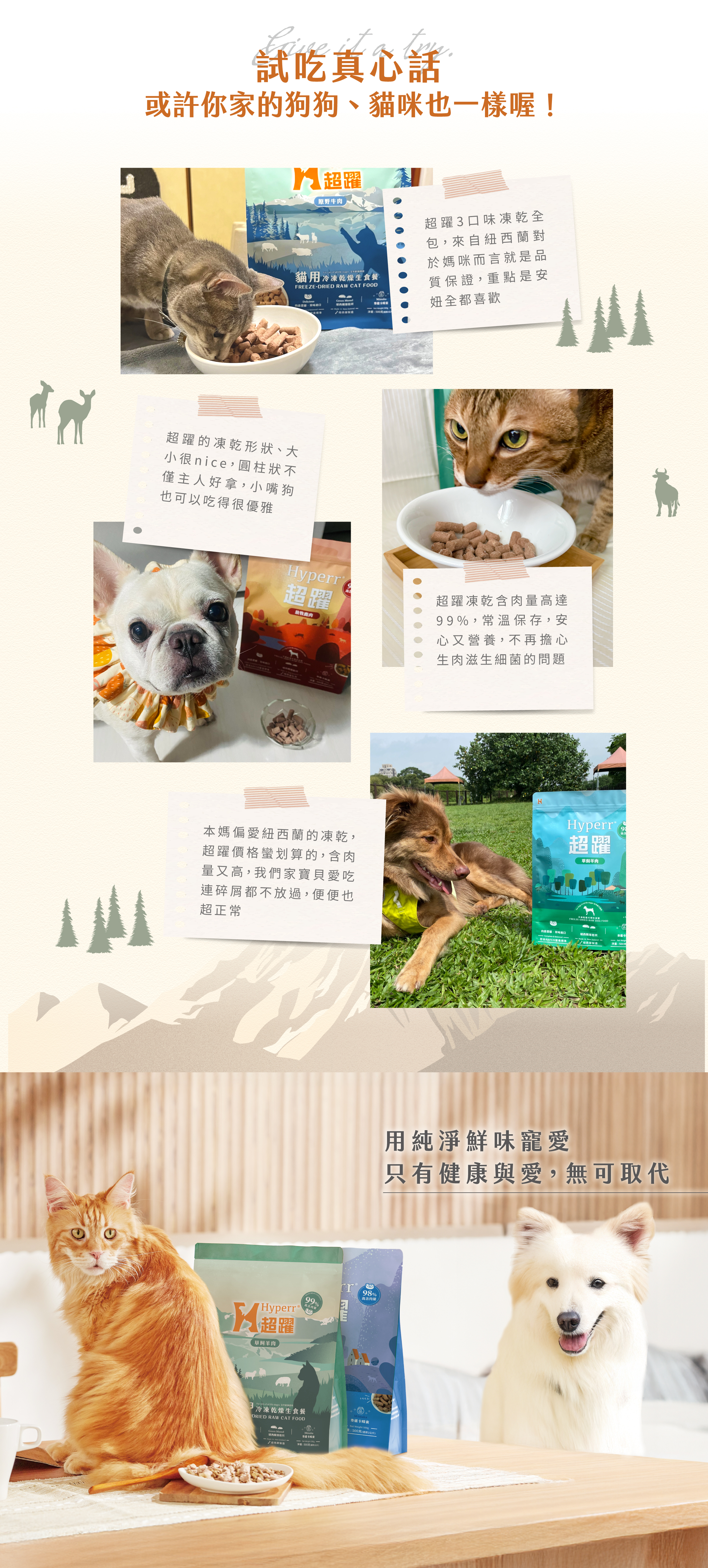 貓咪狗狗體驗過後的好評分享