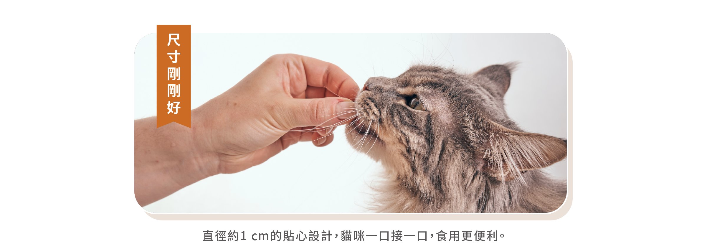 顆粒尺寸剛剛好，直徑1公分，食用更便利。