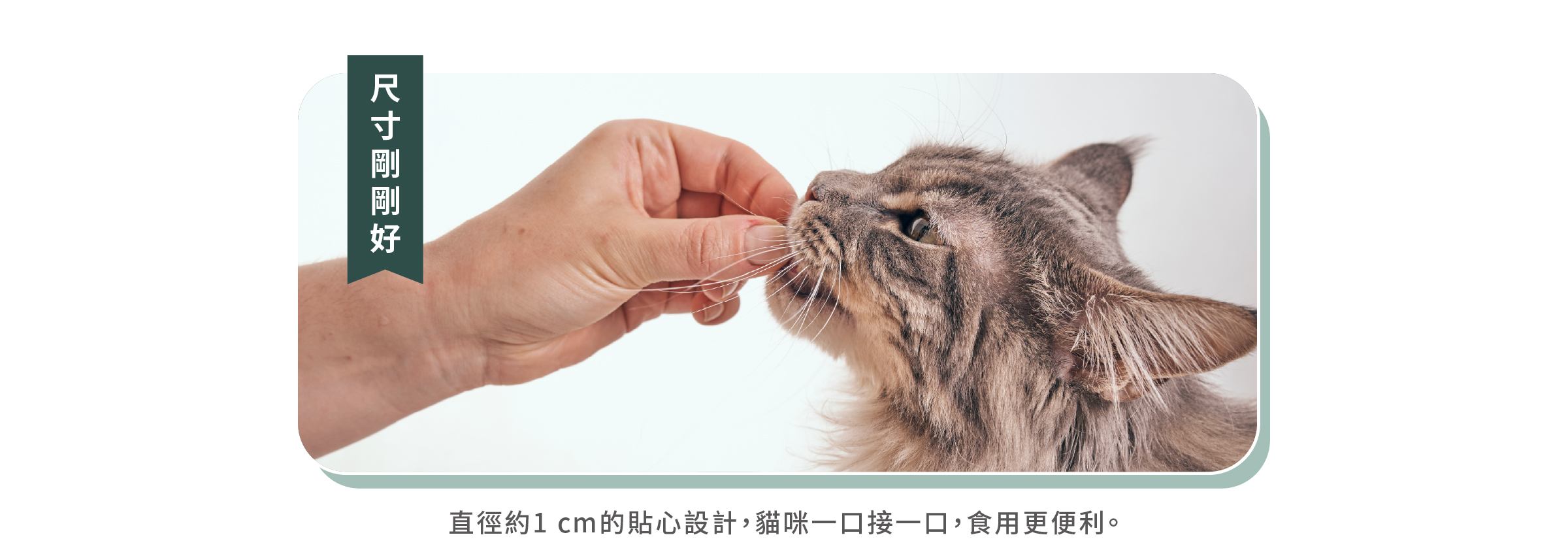 凍乾尺寸剛剛好，直徑1公分的設計，食用更便利。