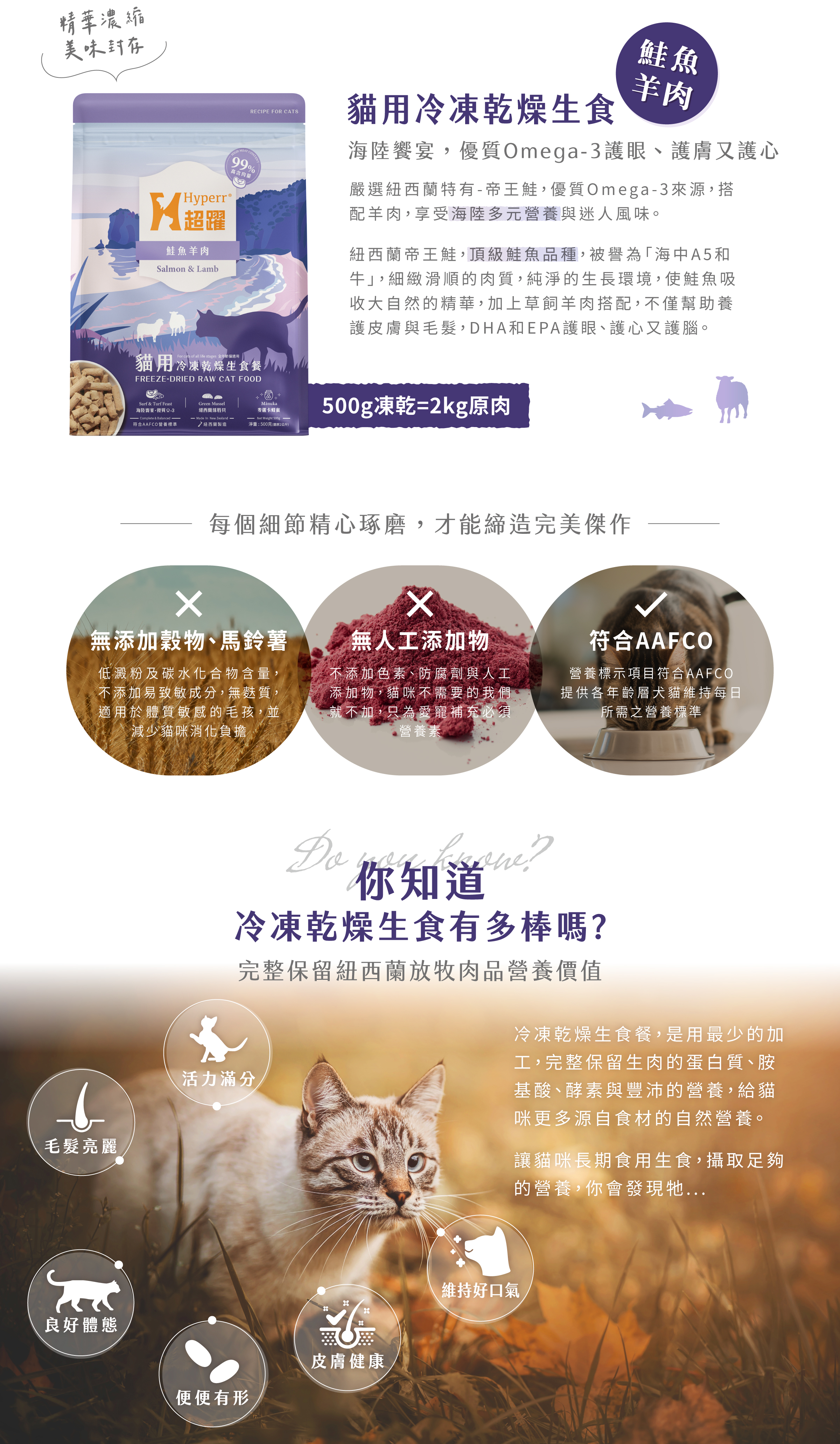 貓咪鮭羊凍乾內頁3