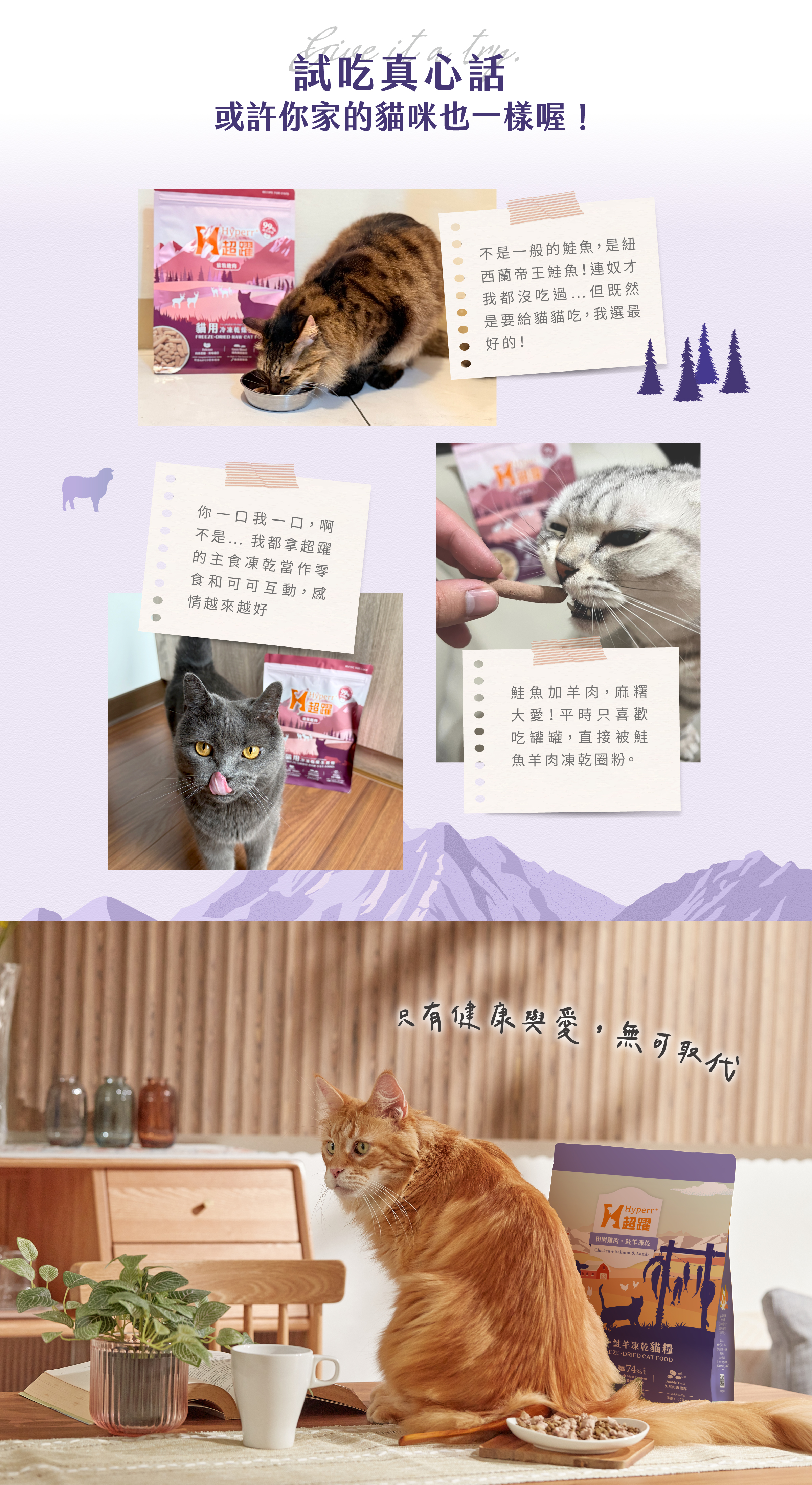 貓咪鮭羊凍乾內頁5