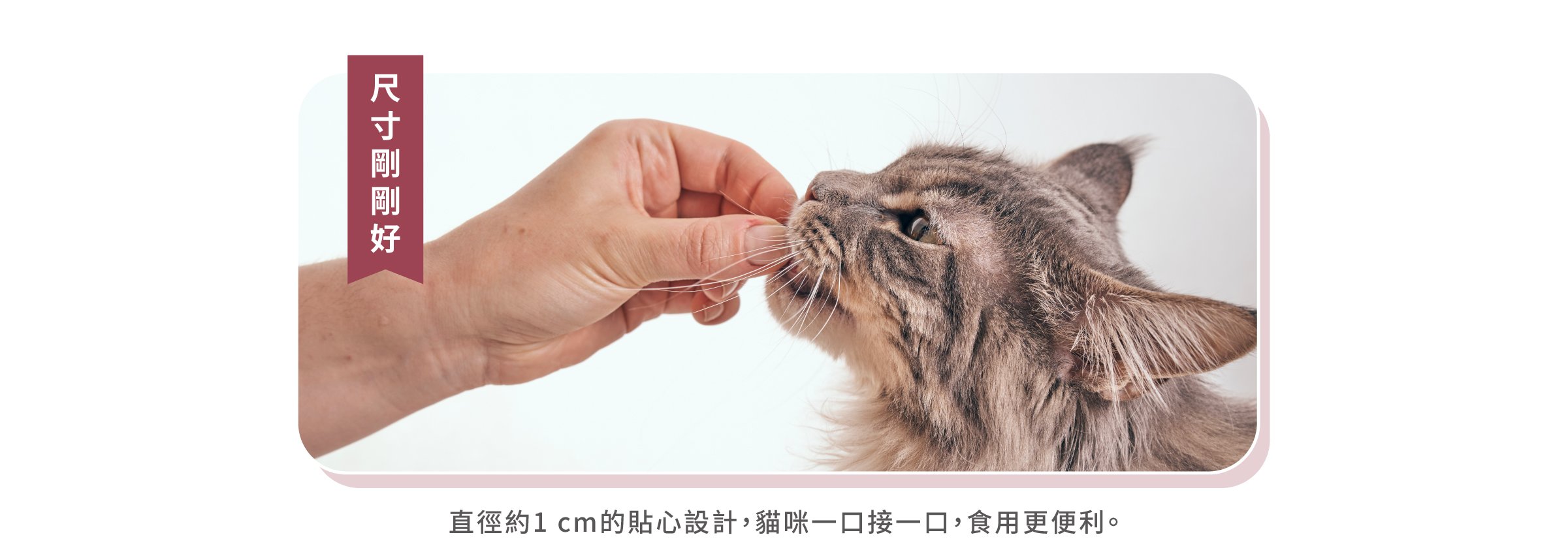 凍乾尺寸剛剛好，直徑1公分的設計，食用更便利。