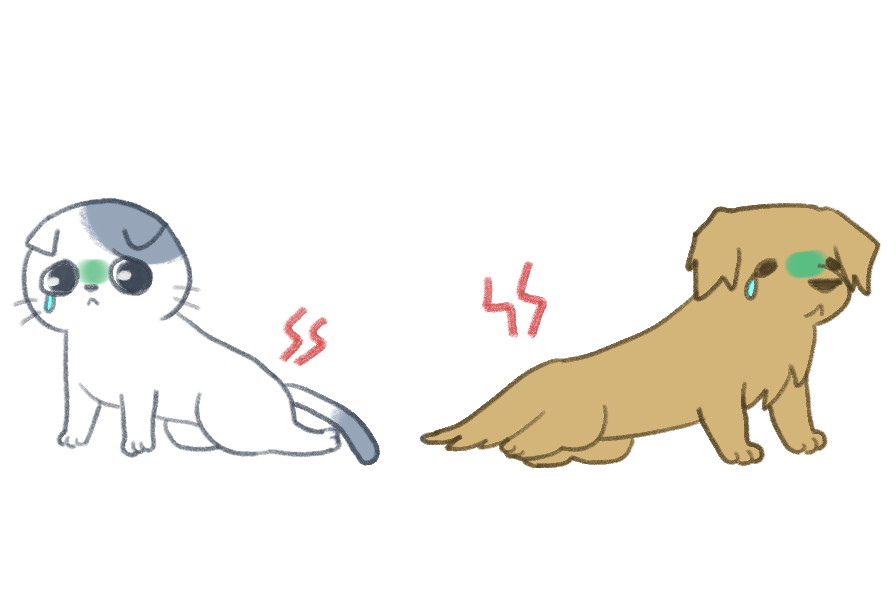 寵物的關節疾病_4