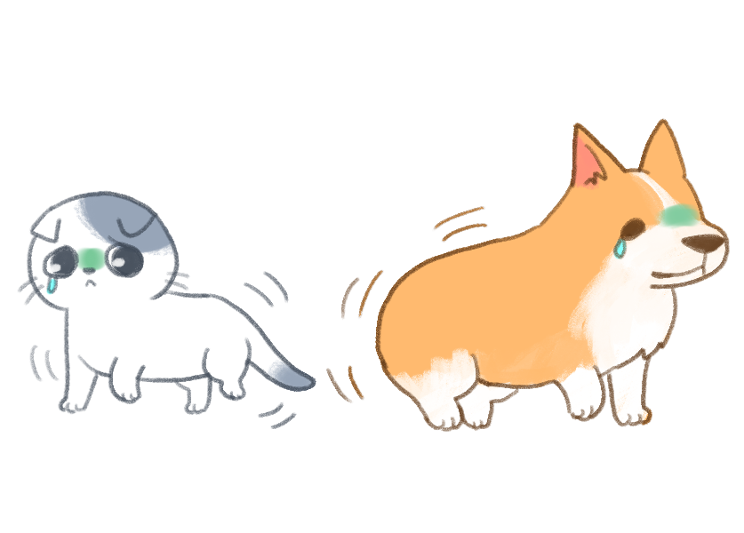 寵物的關節疾病_3