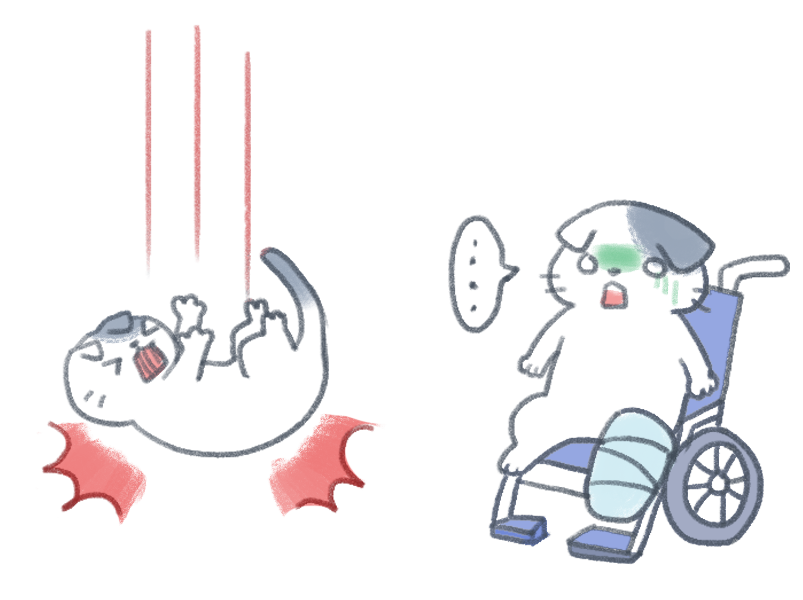 寵物的關節疾病_2