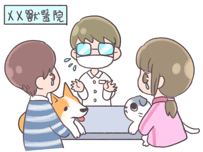 寵物的關節疾病_1