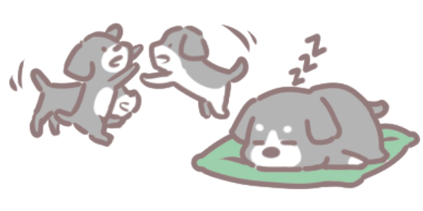 為什麼狗狗一直睡覺_2 為什麼狗狗一直睡覺_2