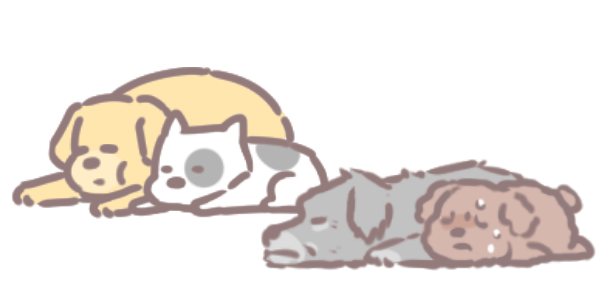 為什麼狗狗一直睡覺_3 為什麼狗狗一直睡覺_3