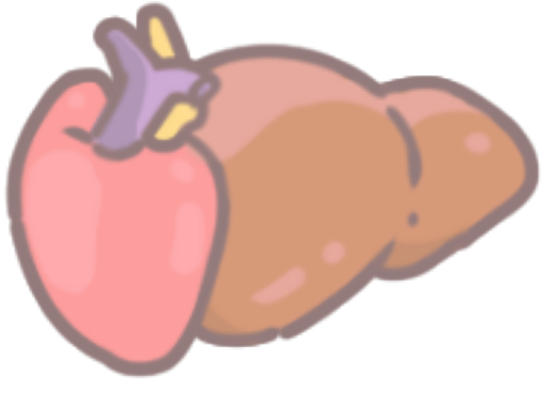 狗的營養食材_3 狗的營養食材_3