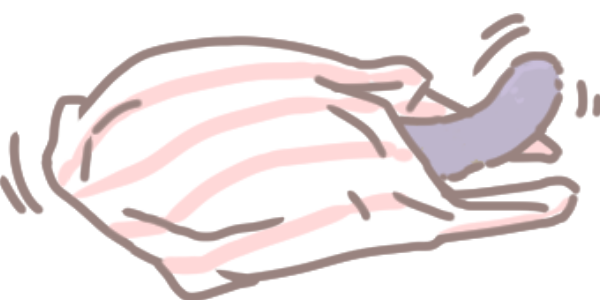 為什麼貓咪愛咬塑料_5