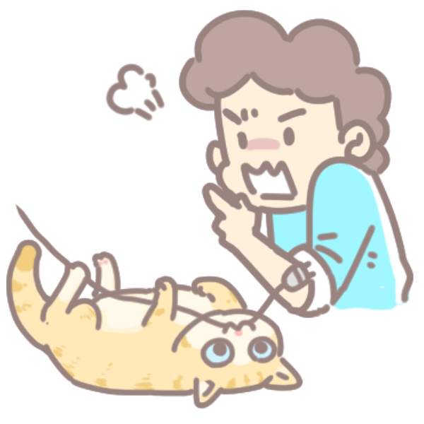 為什麼貓咪愛咬塑料_2