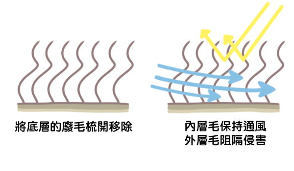 挽救剃毛危機_4 挽救剃毛危機_4