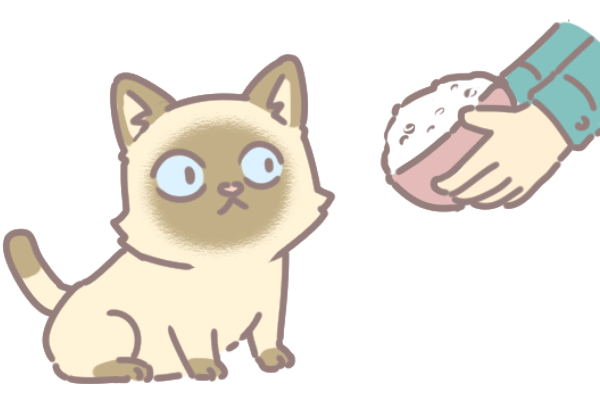 貓吃白米_3 貓吃白米_3