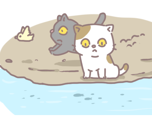 貓咪吃魚安全_3 貓咪吃魚安全_3