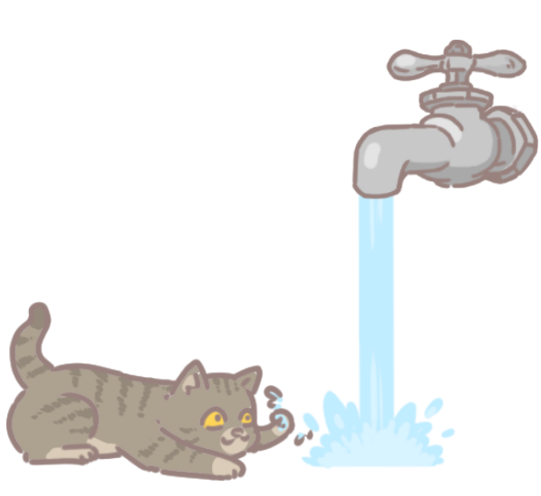 貓咪去奇怪地方喝水_2 貓咪去奇怪地方喝水_2