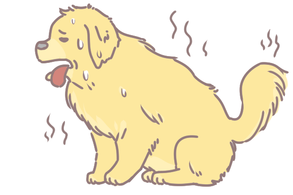 狗毛不要剃光_2 狗毛不要剃光_2