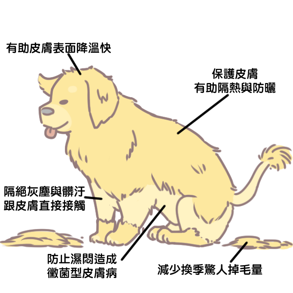 狗毛不要剃光_1 狗毛不要剃光_1